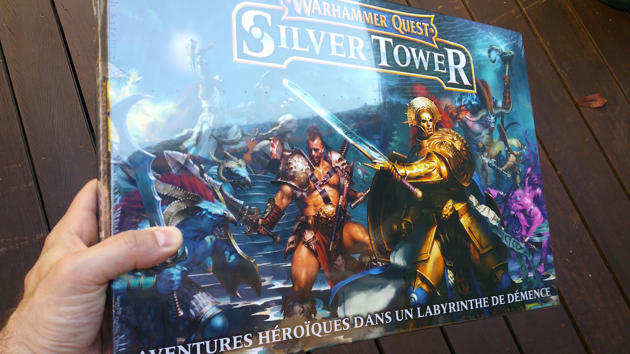 Plus d’informations sur «&nbsp;La Tour D'argent du Dungeon Crawler&nbsp;»