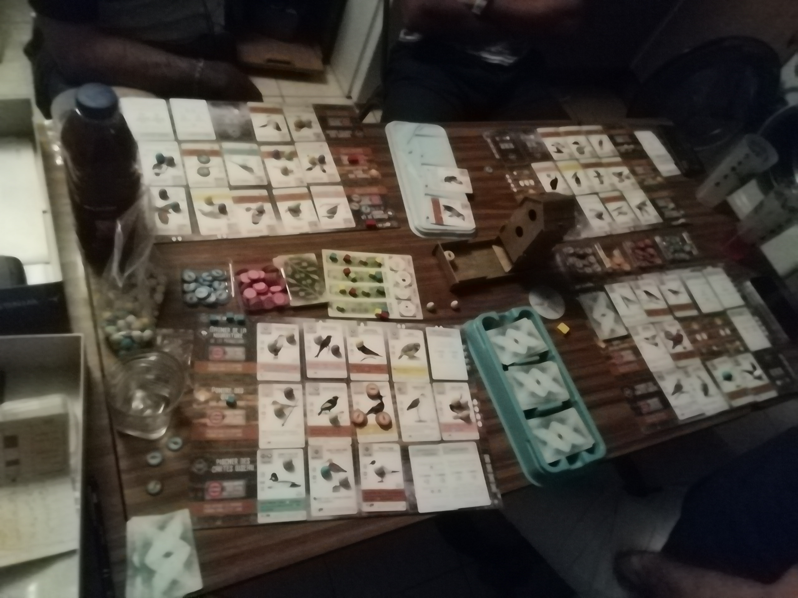 Plus d’informations sur «&nbsp;Wingspan&nbsp;»