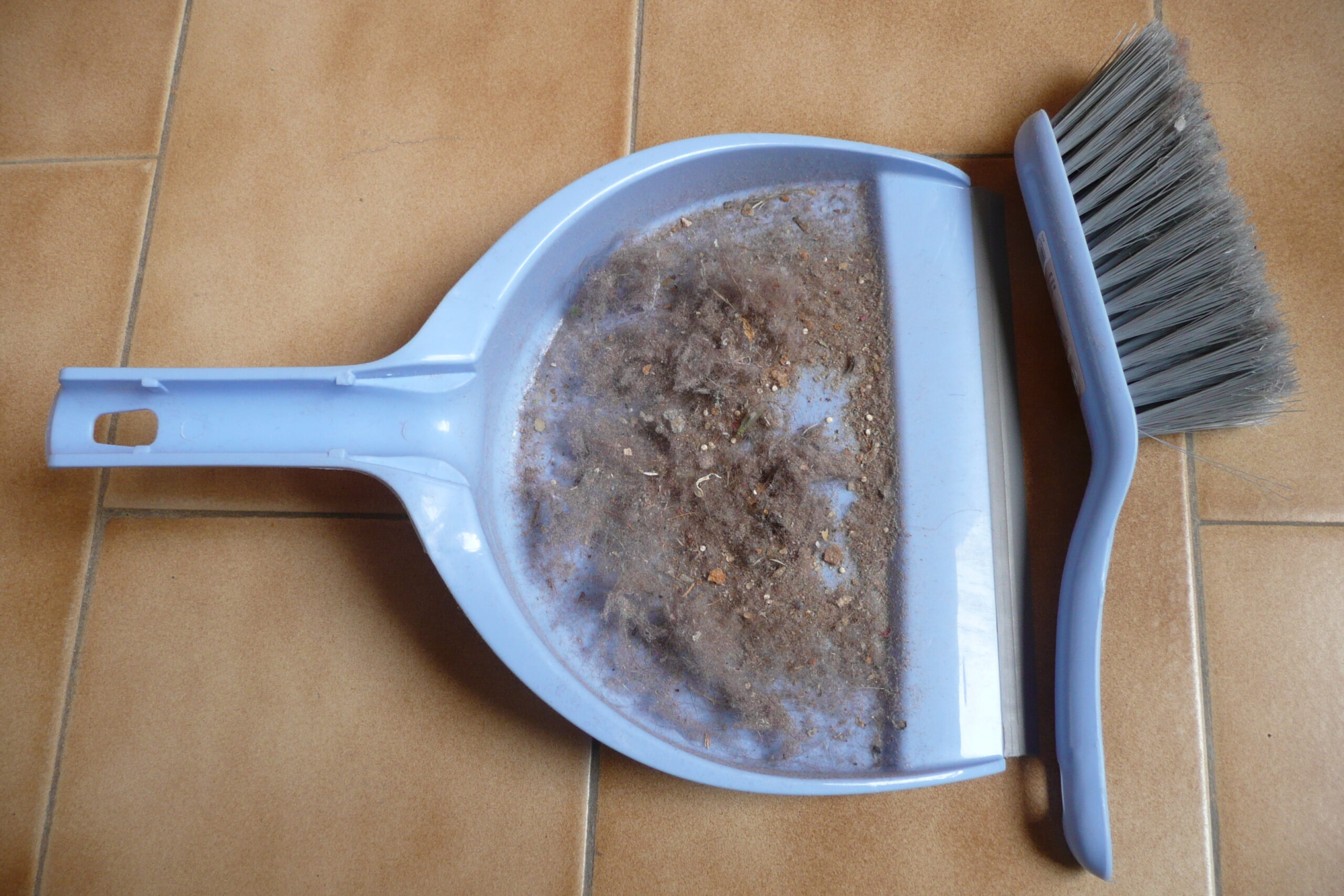 Plus d’informations sur «&nbsp;Compte-rendu du dépoussiérage&nbsp;»