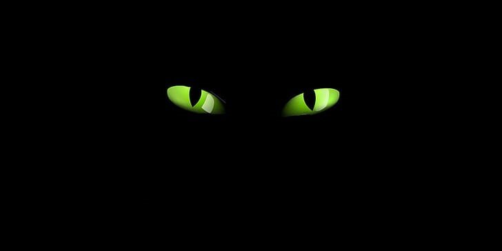 Plus d’informations sur «&nbsp;ChAos à Villeurbanne&nbsp;»