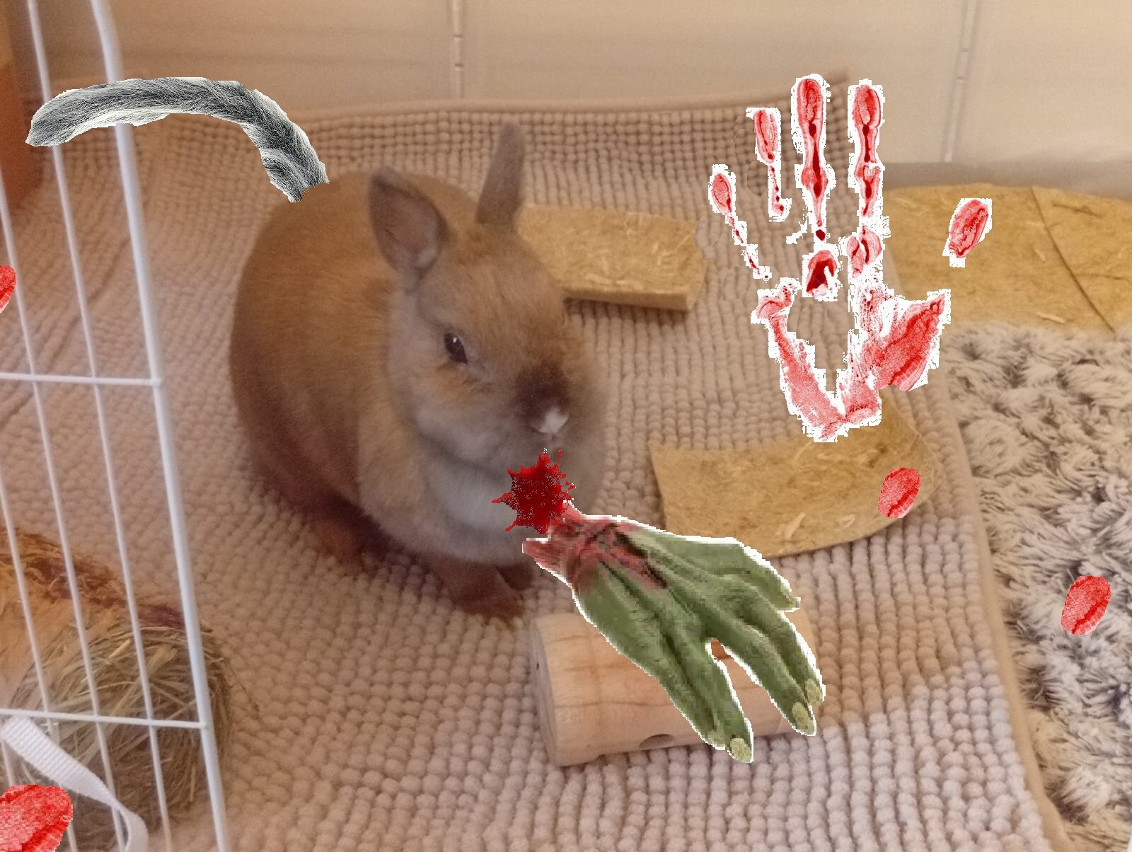 Plus d’informations sur «&nbsp;Oullinsmouth, l'appel des profondeurs&nbsp;»